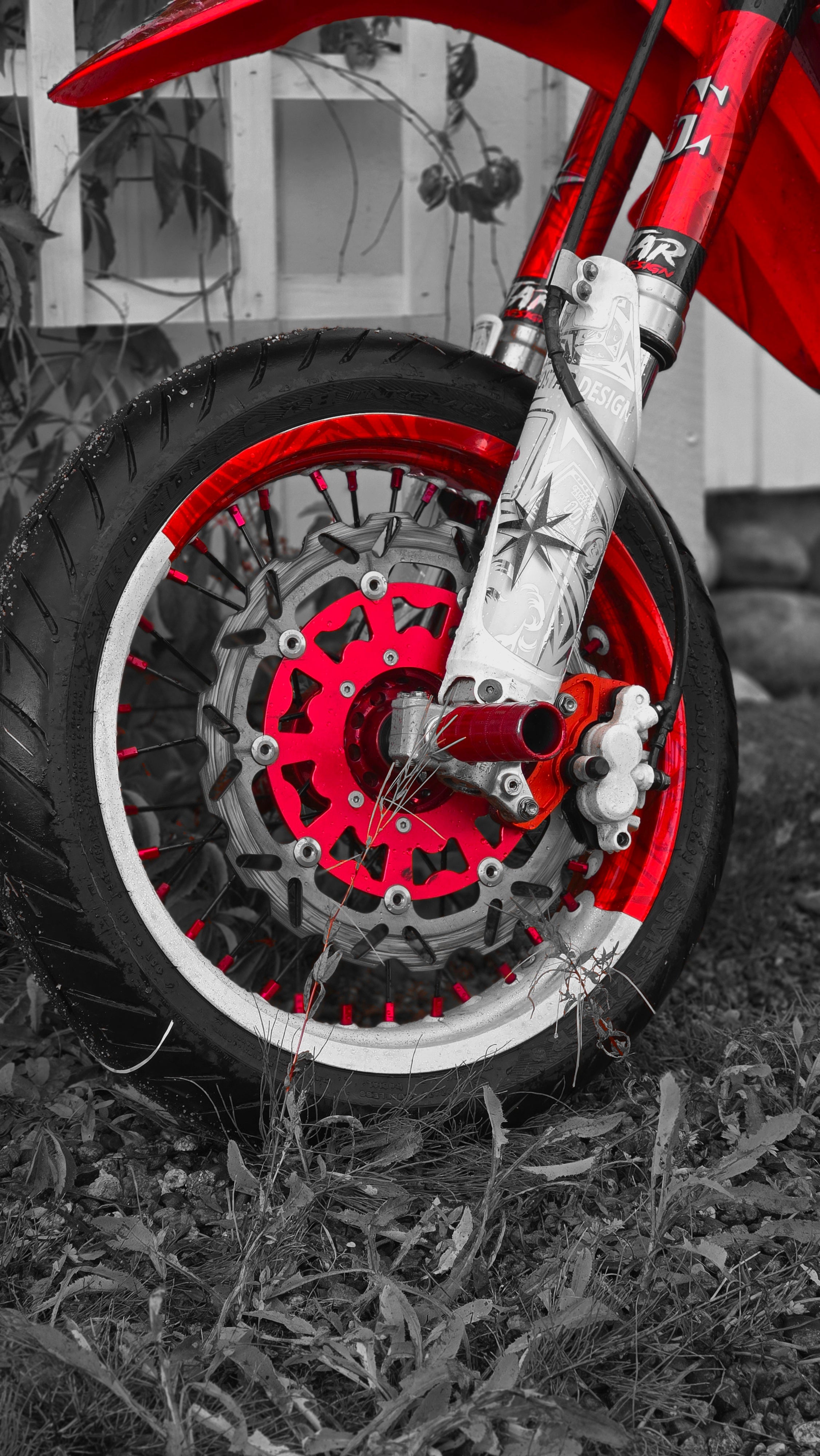 50/50 Wheel Graphics